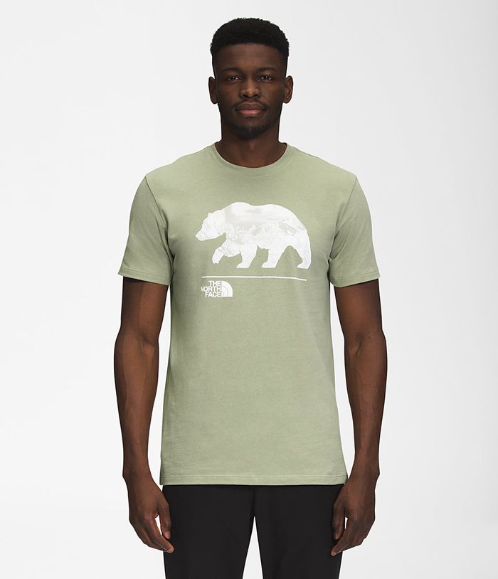 Camiseta The North Face Hombre Verde Bearscape Manga corta 01948ZHRY